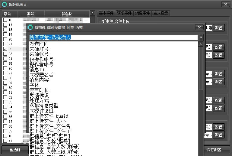 配置变量窗口