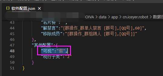 软件配置.json